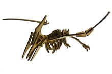 Carregar imagem no visualizador da galeria, Pteranodonte
