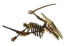 Carregar imagem no visualizador da galeria, Pteranodonte
