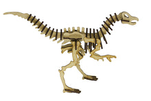 Carregar imagem no visualizador da galeria, Velociraptor
